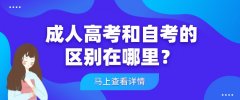 成人高考和自考的区别在哪里？