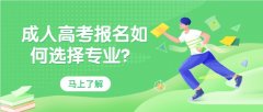 成人高考报名如何选择专业？