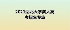 湖北大学2021年成人高考招生专业