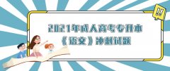 2021年成人高考专升本《语文》冲刺试题