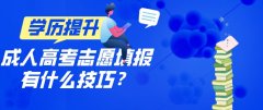 成人高考志愿填报有什么技巧？