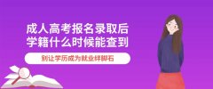 成人高考报名录取后，学籍什么时候能查到？