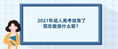 2021年成人高考结束了，现在能报什么呢？