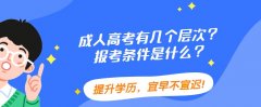 成人高考有几个层次？报考条件是什么？