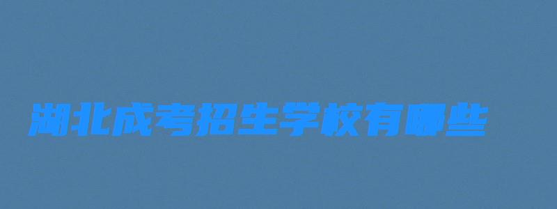 湖北成考招生学校有哪些