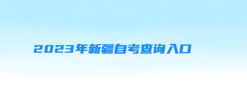 2023年新疆自考查询入口